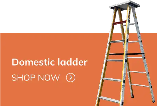 Domestic Ladders